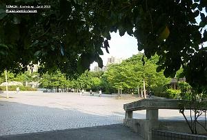 Kaohsiung 021